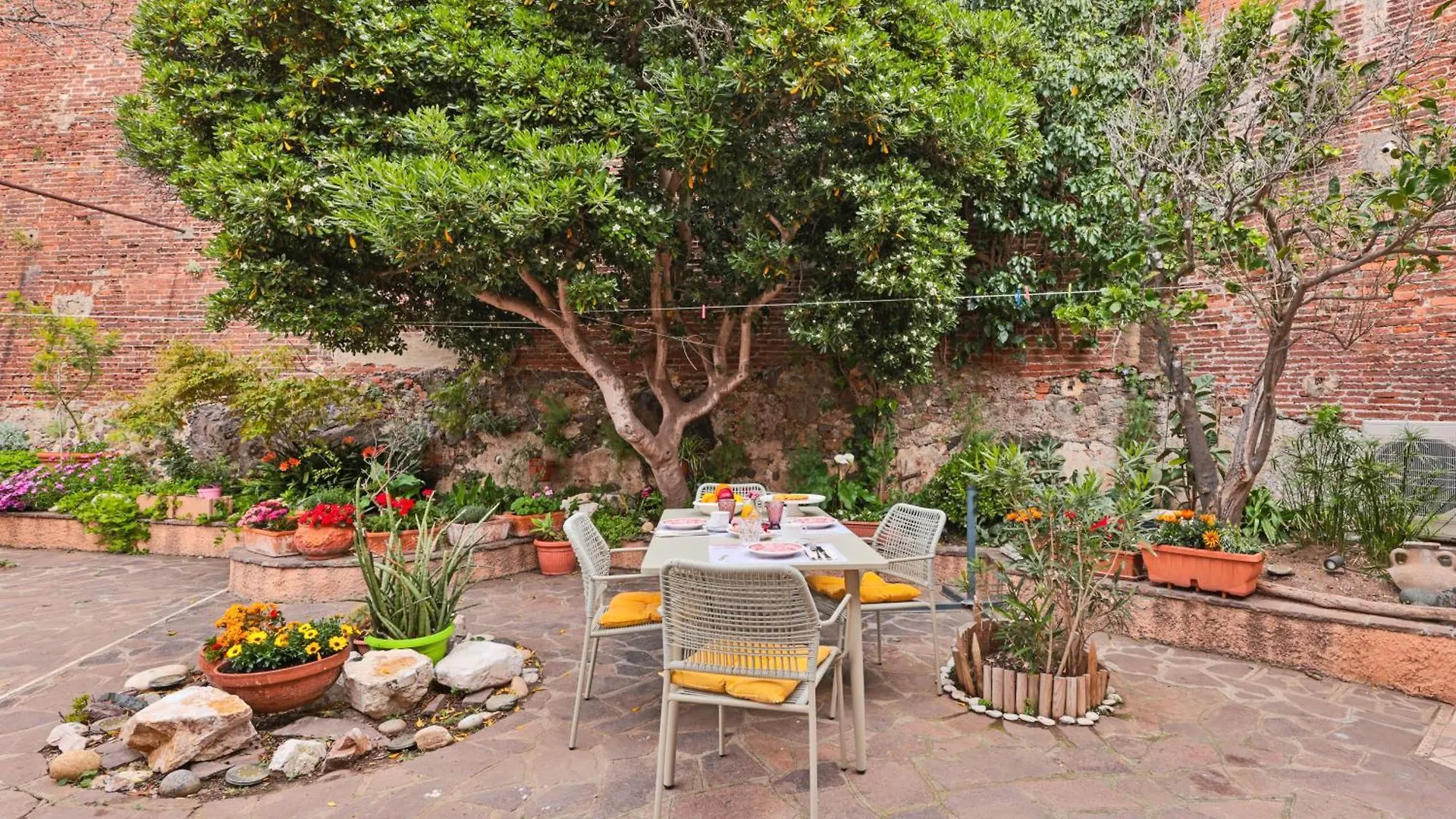 Cosmopoli - La Stella Apartment Portoferraio Italy